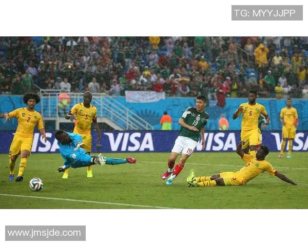 巴西与喀麦隆比赛前瞻伤停情况分析及影响探讨