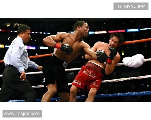 布拉德与伯顿的巅峰对决谁将成为拳坛新王者