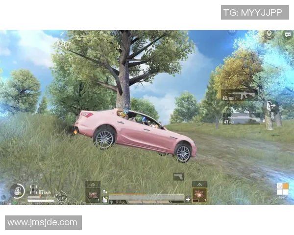 和平精英战队WE的节奏分析与战术探讨全方位解读MBA