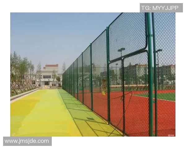 南京网球队防守革新之路探秘提升竞技水平的关键策略与实践