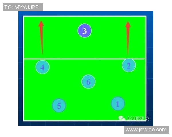 武汉排球队在全国排球战术排行榜中荣获第九名的辉煌成就分析