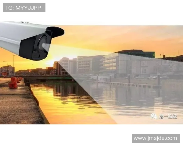 FPX战队在DOTA2赛事中的心理素质分析与应对策略探讨