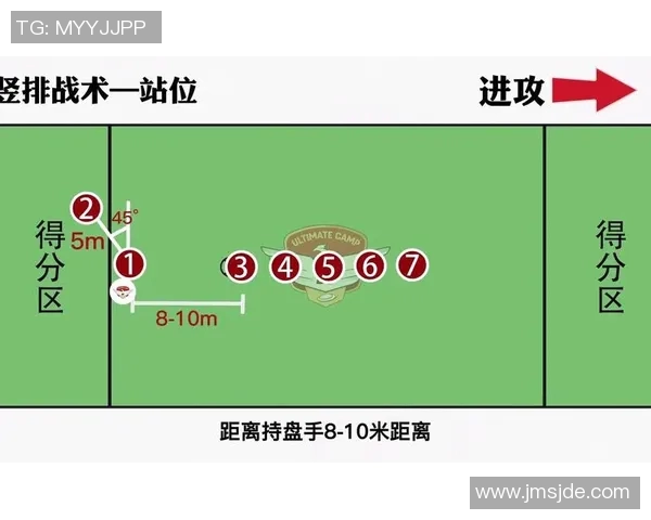 南京飞盘队的节奏分析与战术得失探讨