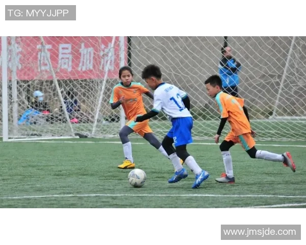 上海排球队的崛起之路：城市联赛中的拼搏与梦想