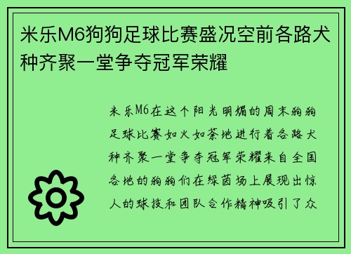 米乐M6狗狗足球比赛盛况空前各路犬种齐聚一堂争夺冠军荣耀